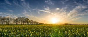 ​Why Do Muslims Prefer Calling Allah by the Arabic Word Allah