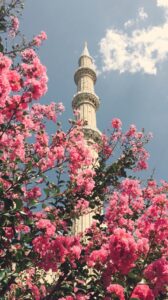 What do Muslims believe in?