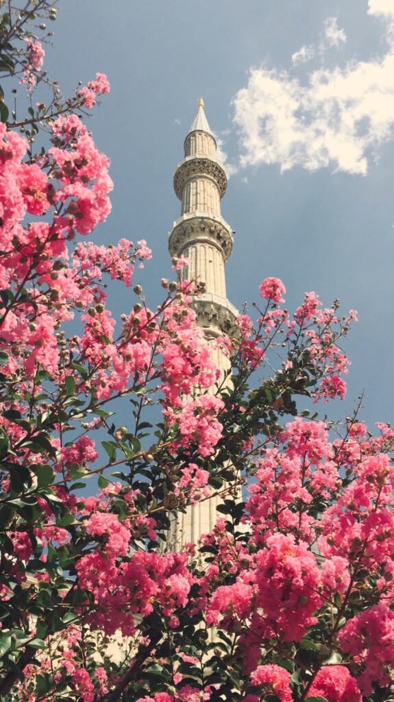 What do Muslims believe in?